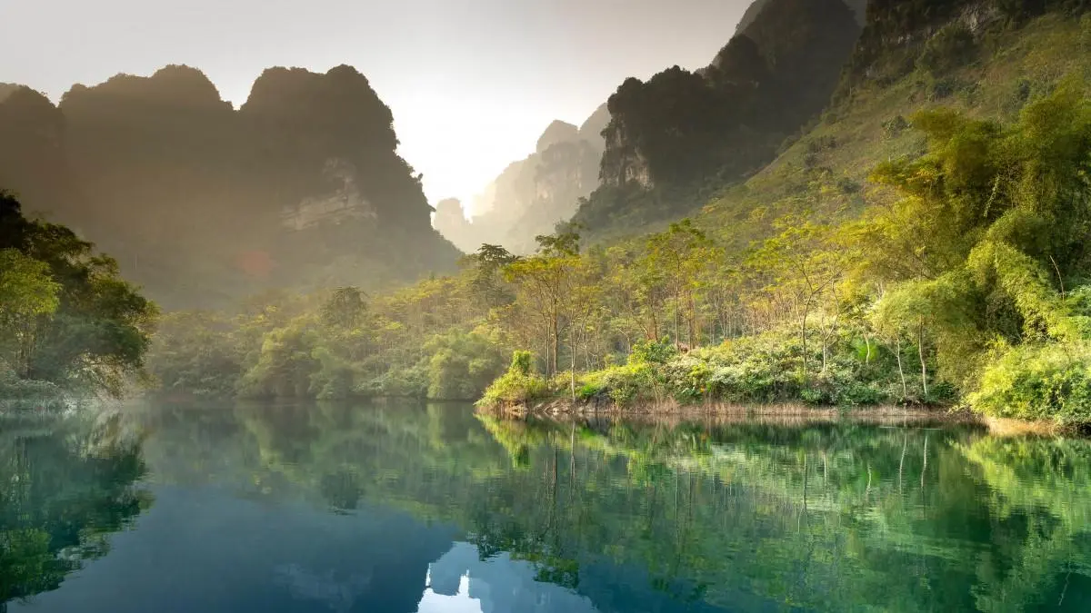 全自动高端